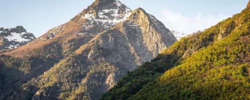 Parque Natural Tricahue